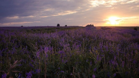 Прогноз погоды во Владимире и области на 21 июня