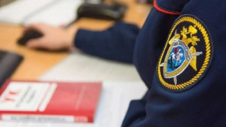 В Суздальском районе пенсионер зарезал внука