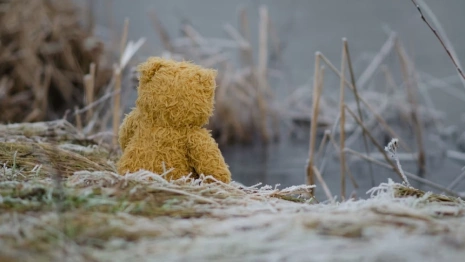 Жительнице Мурома отказали в пособии на маленького ребенка 