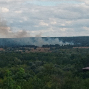 Под Владимиром сгорело поле в пойме Клязьмы