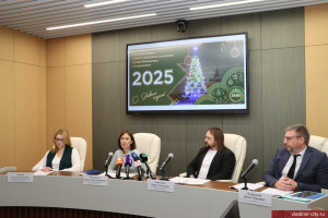 Во Владимире 20 декабря стартуют новогодние шоу