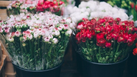 Школьникам Владимира предложили отказаться от букетов на 1 сентября