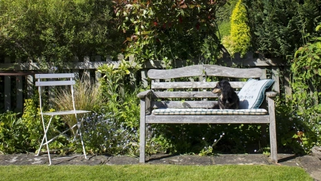 От 5 до 45 тысяч в месяц. Какие дачи и за сколько можно снять на лето во Владимирской области