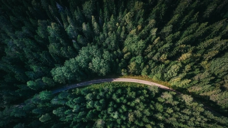 Гайд «День во Владимире». Как выйти из леса живым