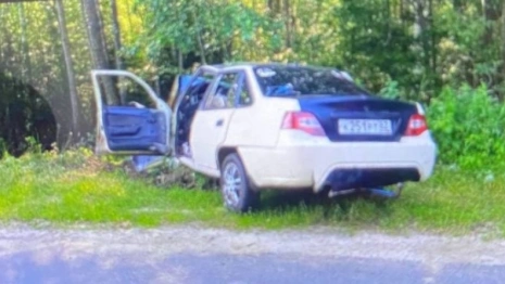 В Гусь-Хрустальном районе в аварии погибли 84-летний водитель и его пассажиры