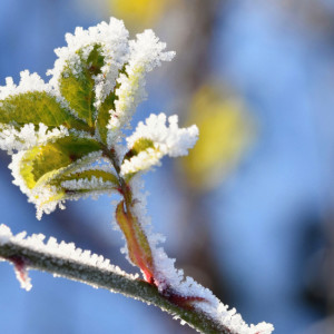 Во Владимирской области на М-12 день пройдет без осадков