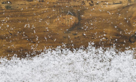 На Владимирскую область обрушатся штормовой ветер и снег