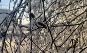 В выходные во Владимирской области похолодает до -23 градусов
