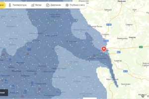 Московская метель добралась до Владимирской области