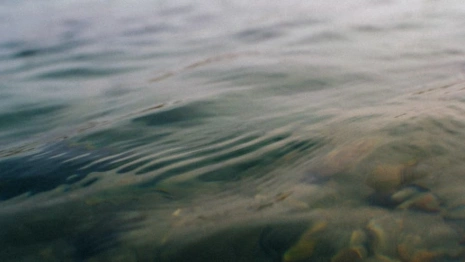 Число утонувших за лето во Владимирской области выросло до 14