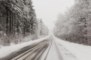 МЧС предупредило владимирцев о метели и урагане 20 февраля