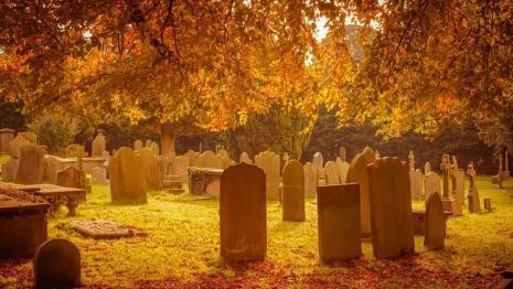 Во Владимире откроют два новых кладбища