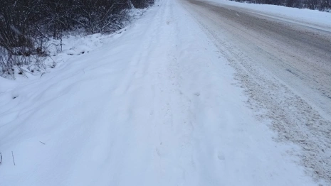 Губернатор прокомментировал массовые жалобы на неочищенные дороги