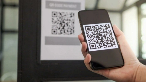 Во Владимирской области мошенники предложили «выплатить» жителям социальные пособия