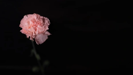 Во Владимирской области простились с погибшим при спецоперации сержантом