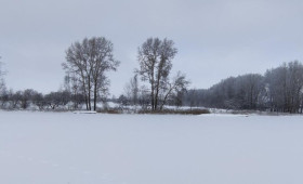 В Суздале снесли незаконно возведенную базу отдыха на берегу озера