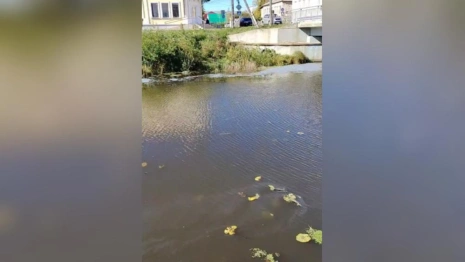 Жители Юрьев-Польского сообщили о загрязнении реки Колокша