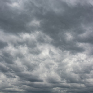 Прогноз погоды во Владимирской области на 20 марта