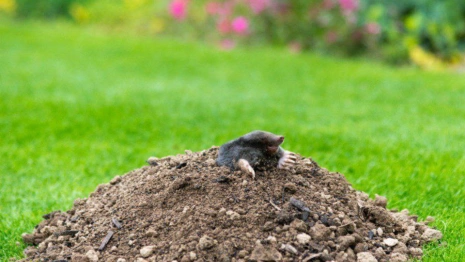 Фотя Поветенный: что можно и нельзя делать 25 августа