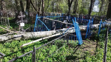 В Юрьев-Польском дерево упало на кладбище и повредило ограды