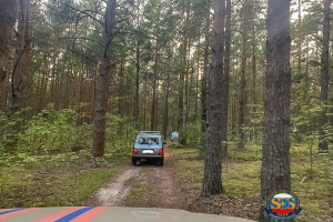 Во Владимирской области из леса спасли 100-летнего охотника