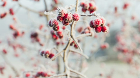 Прогноз погоды во Владимирской области на 16 ноября 2023 года