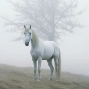 Евпатий Коловрат: что можно и нельзя делать 24 августа