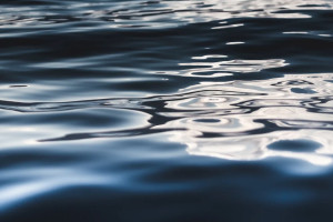 Стала известна личность погибшей в Красносельском пруду во Владимире