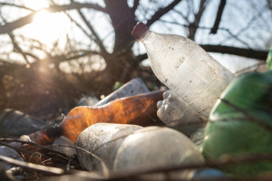 Во Владимирской области пожарную обстановку на свалках назвали спокойной