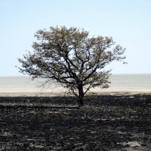 Во Владимире сгорел участок в 300 квадратов