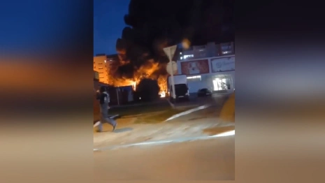 Глава Владимирской области выразил соболезнования после трагедии с 13 погибшими в Ейске