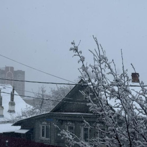 Владимир завалило снегом 15 ноября