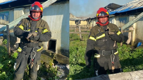 Часть гусей погибла при пожаре на ферме под Суздалем