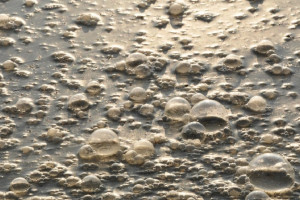 Во Владимирской области сточные воды растеклись по деревенским участкам 