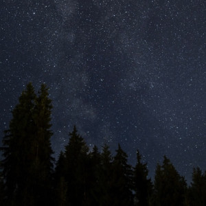 Жители Владимирской области увидят двойной звездопад в ночь на 31 июля