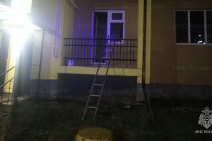 В поселке Боголюбово при пожаре спасли 2 детей