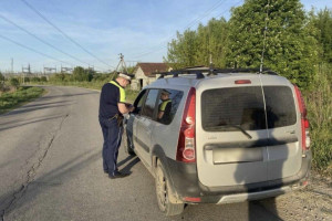 Во Владимире за нарушение ПДД оштрафовали 7 пешеходов