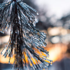 Прогноз погоды на новогоднюю ночь во Владимире