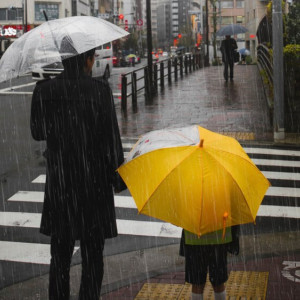 Владимирскую область накроет вторая волна непогоды