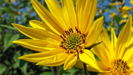 Во Владимирской области разогреется до +19