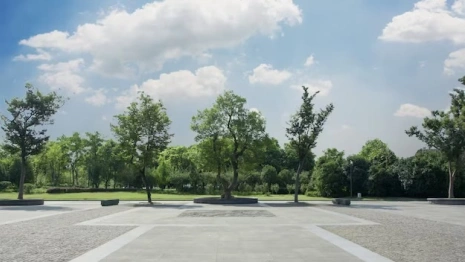 Во Владимире начали искать подрядчика для благоустройства Курсантского сквера