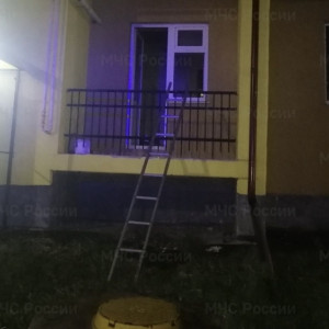 В поселке Боголюбово при пожаре спасли 2 детей