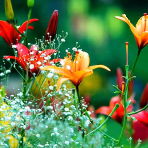 Август во Владимирской области будет пасмурным и жарким
