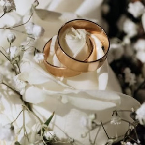 Первая свадьба во Владимирской области в 2024 году состоялась в Судогде