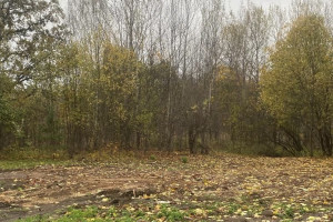 В Кольчугинском районе подрядчик сорвал установку ФАПа за 4 млн рублей