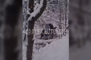 Во Владимирской области машина улетела в кювет