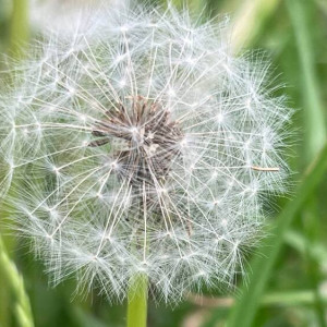 Прогноз погоды во Владимире и области на 8 июня