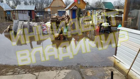 Жители Владимира показали фото затопленного СНТ «Связист»