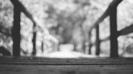 Стали известны подробности спасения пытавшейся спрыгнуть с моста девушки во Владимире