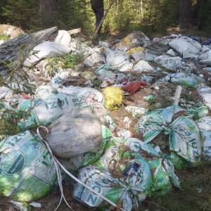 Владимирское министерство лесхоза через суд заставили очистить лес в Коврове от мусора